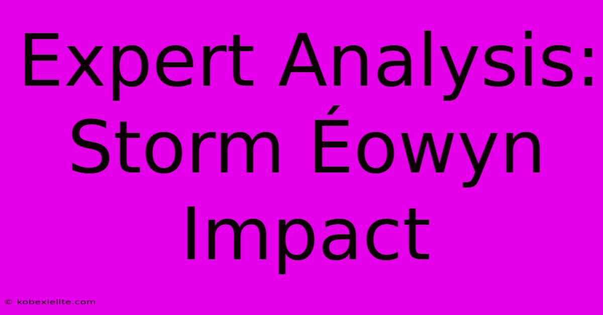 Expert Analysis: Storm Éowyn Impact