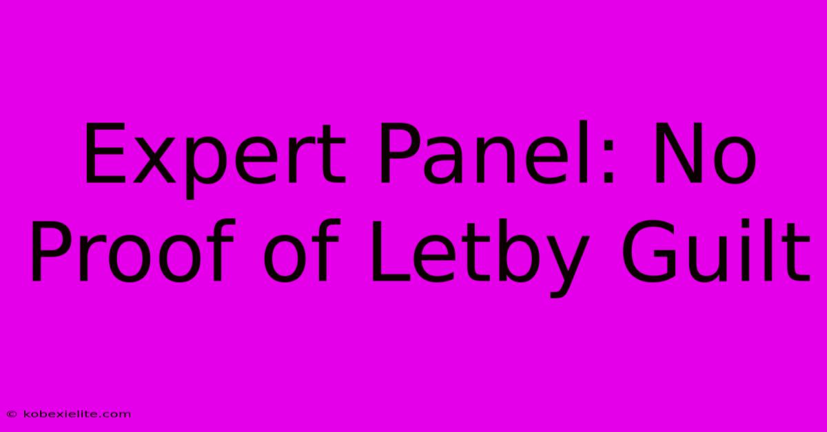 Expert Panel: No Proof Of Letby Guilt