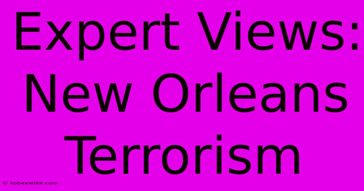 Expert Views: New Orleans Terrorism