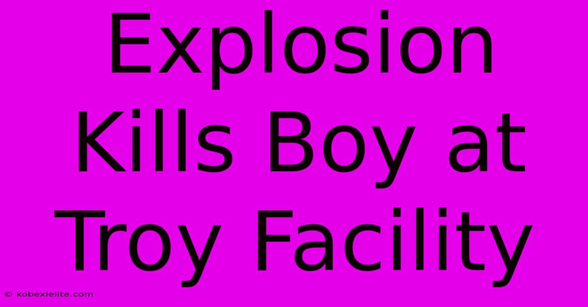 Explosion Kills Boy At Troy Facility