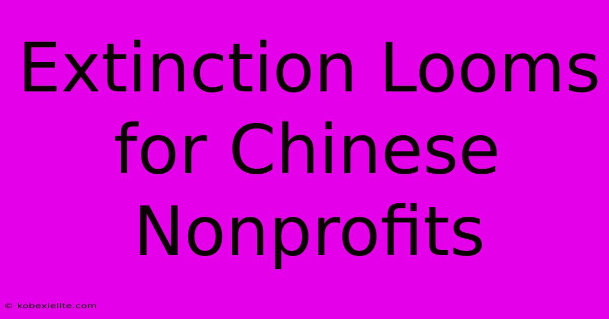 Extinction Looms For Chinese Nonprofits