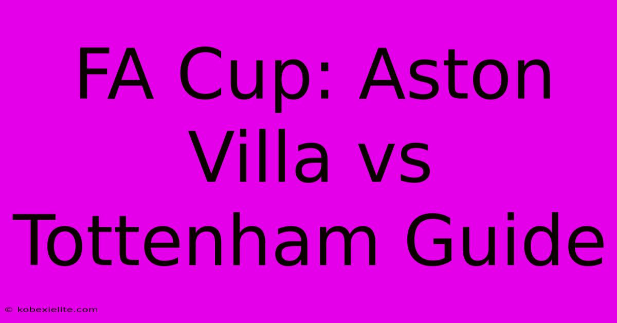 FA Cup: Aston Villa Vs Tottenham Guide