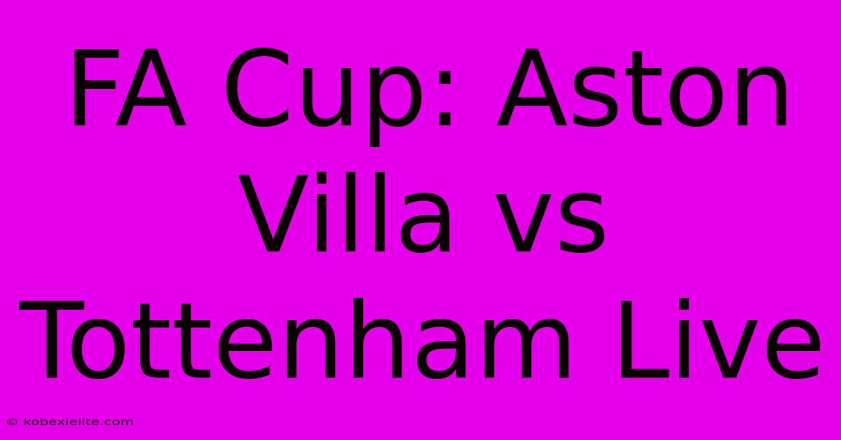 FA Cup: Aston Villa Vs Tottenham Live