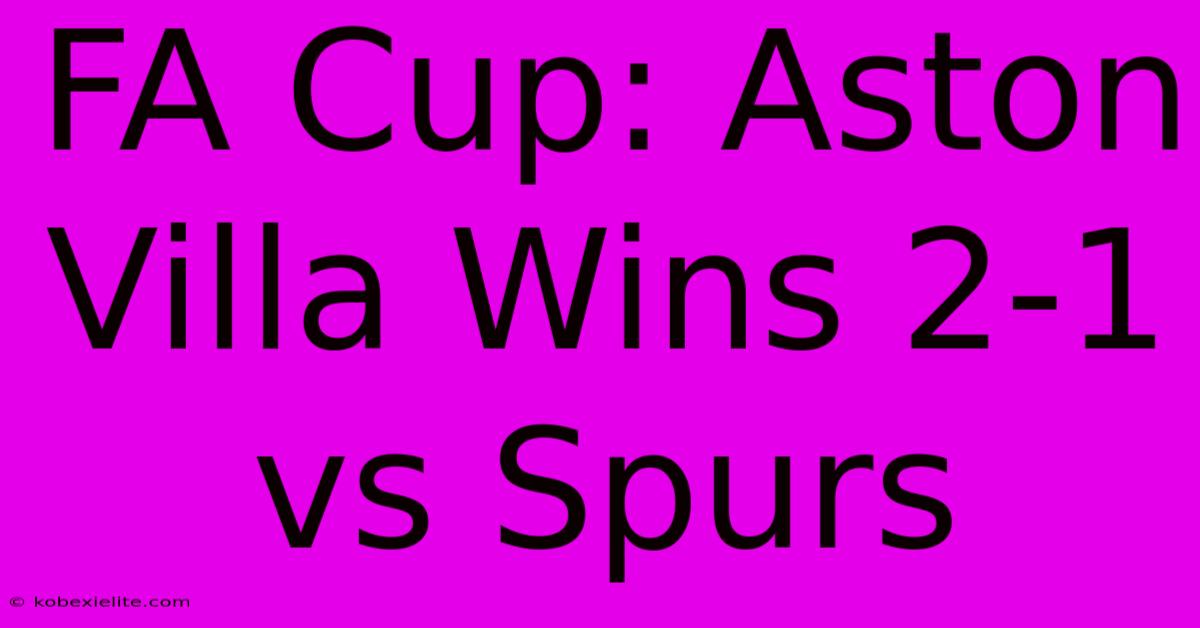 FA Cup: Aston Villa Wins 2-1 Vs Spurs