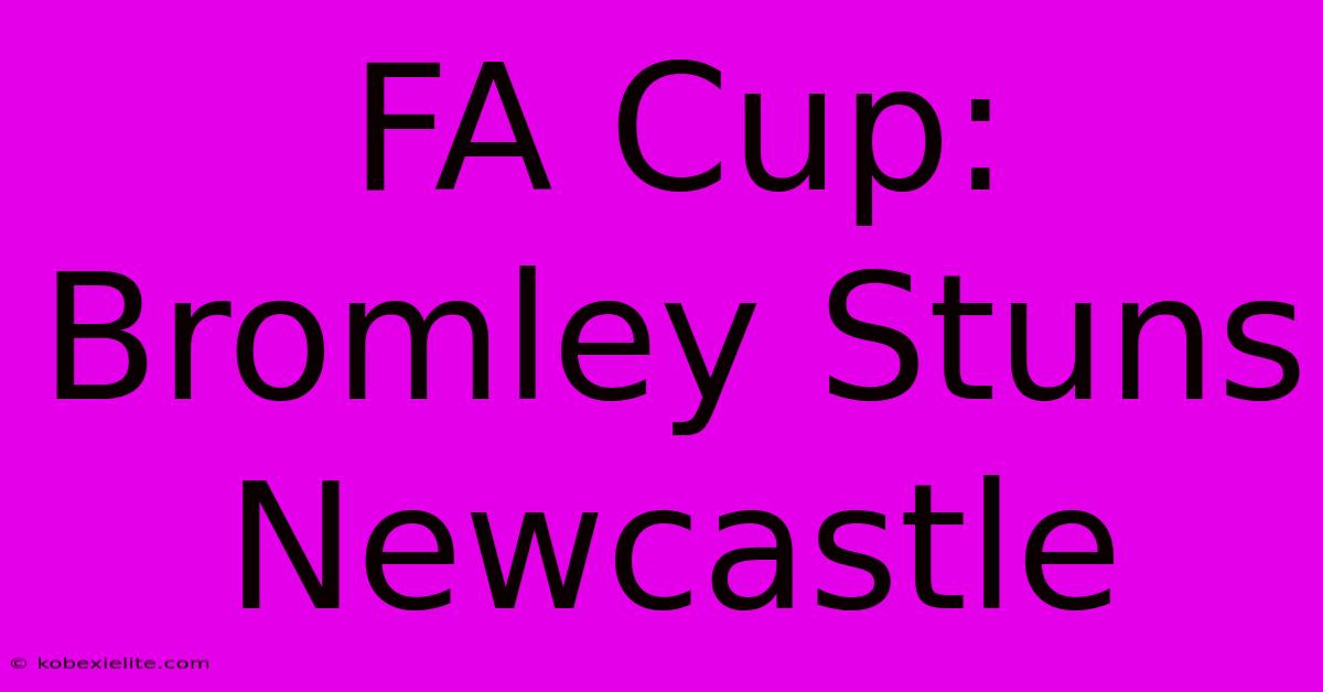 FA Cup: Bromley Stuns Newcastle