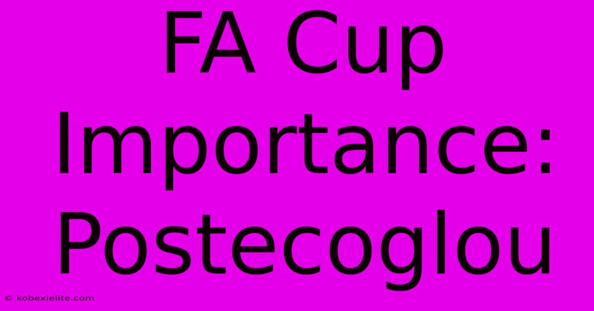 FA Cup Importance: Postecoglou