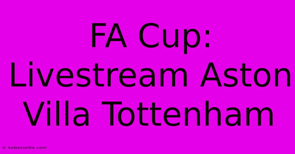 FA Cup: Livestream Aston Villa Tottenham