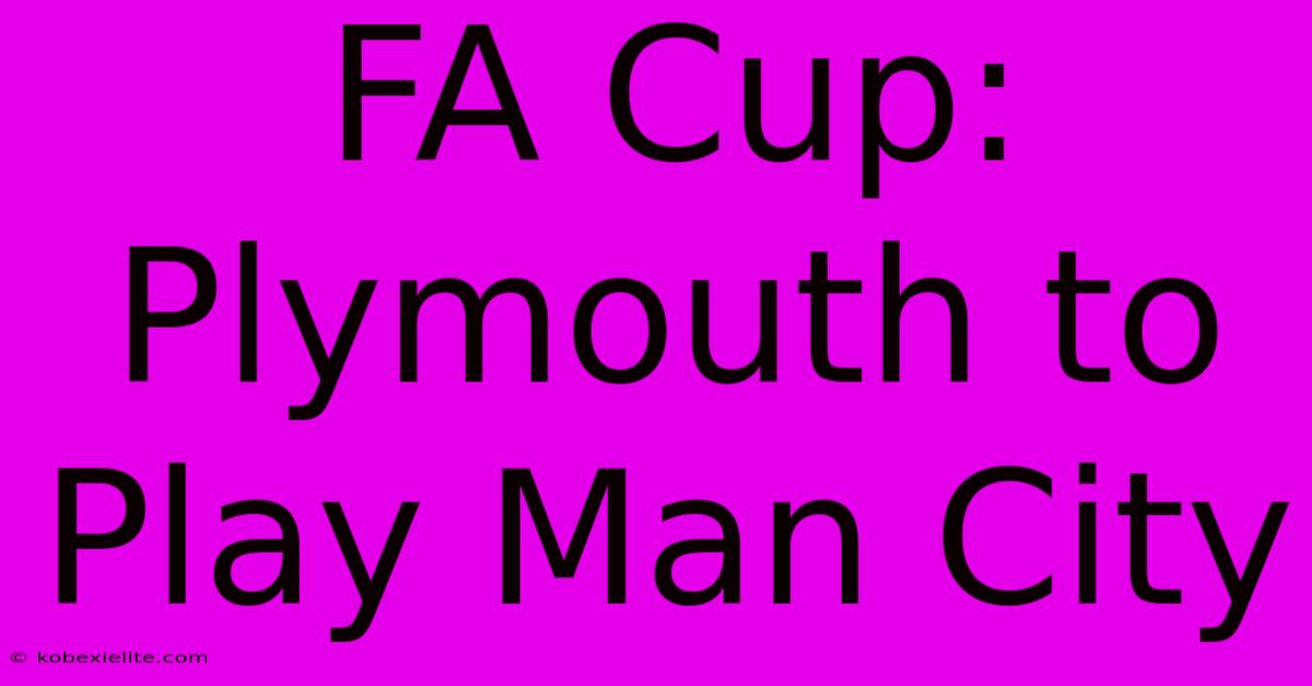 FA Cup: Plymouth To Play Man City