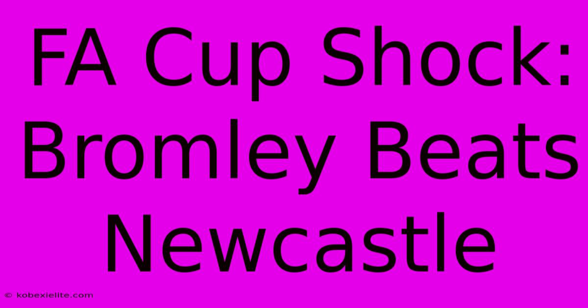 FA Cup Shock: Bromley Beats Newcastle