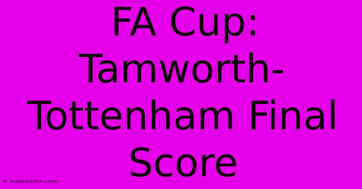 FA Cup: Tamworth-Tottenham Final Score