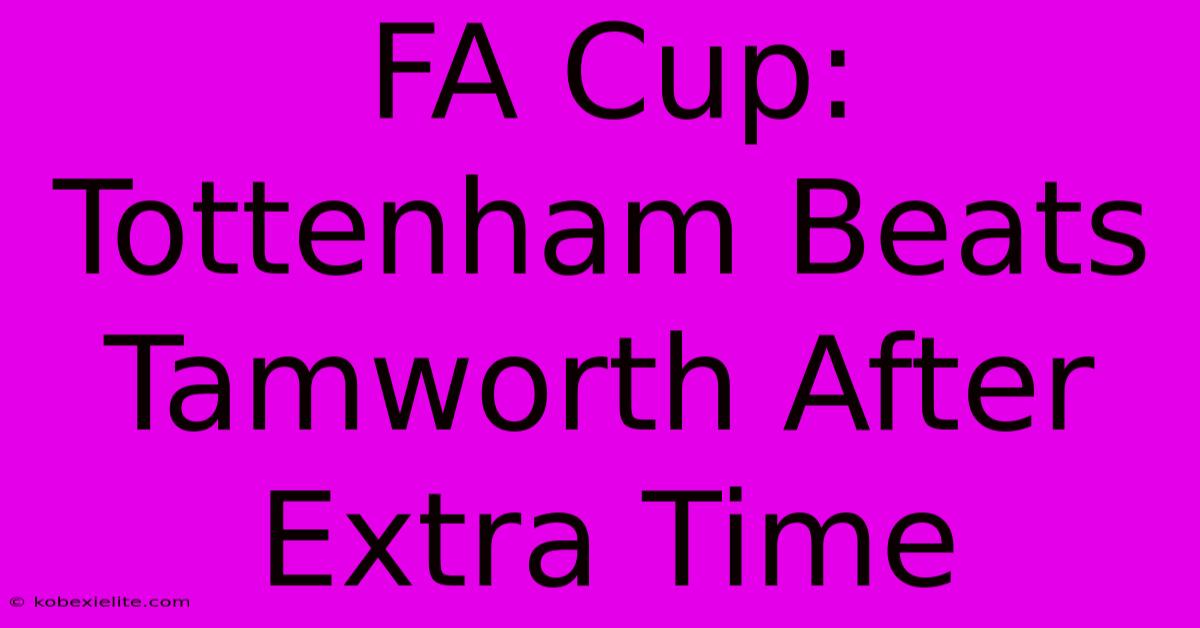 FA Cup: Tottenham Beats Tamworth After Extra Time