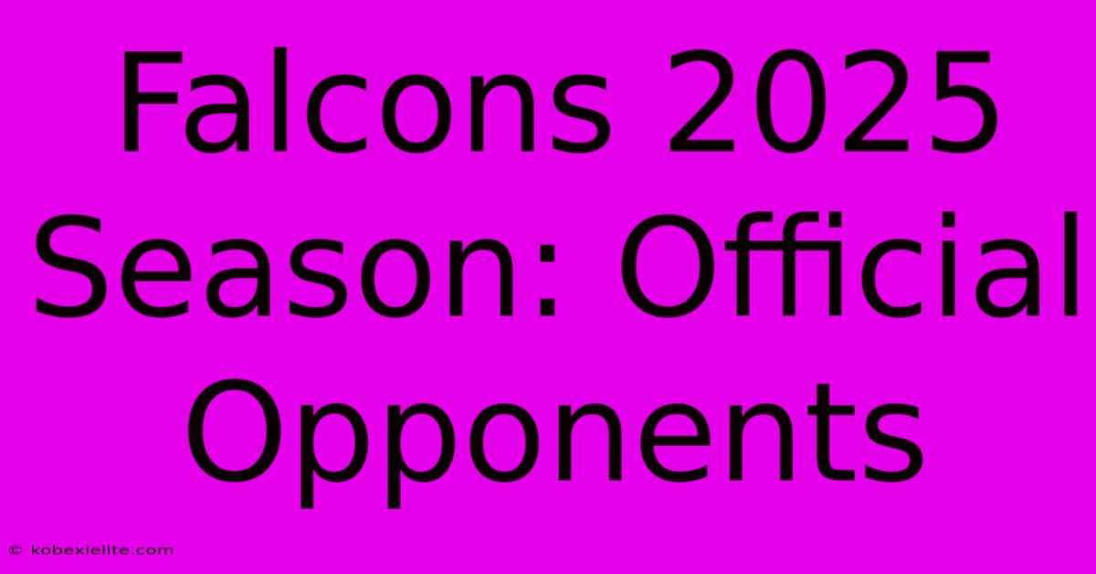 Falcons 2025 Season: Official Opponents