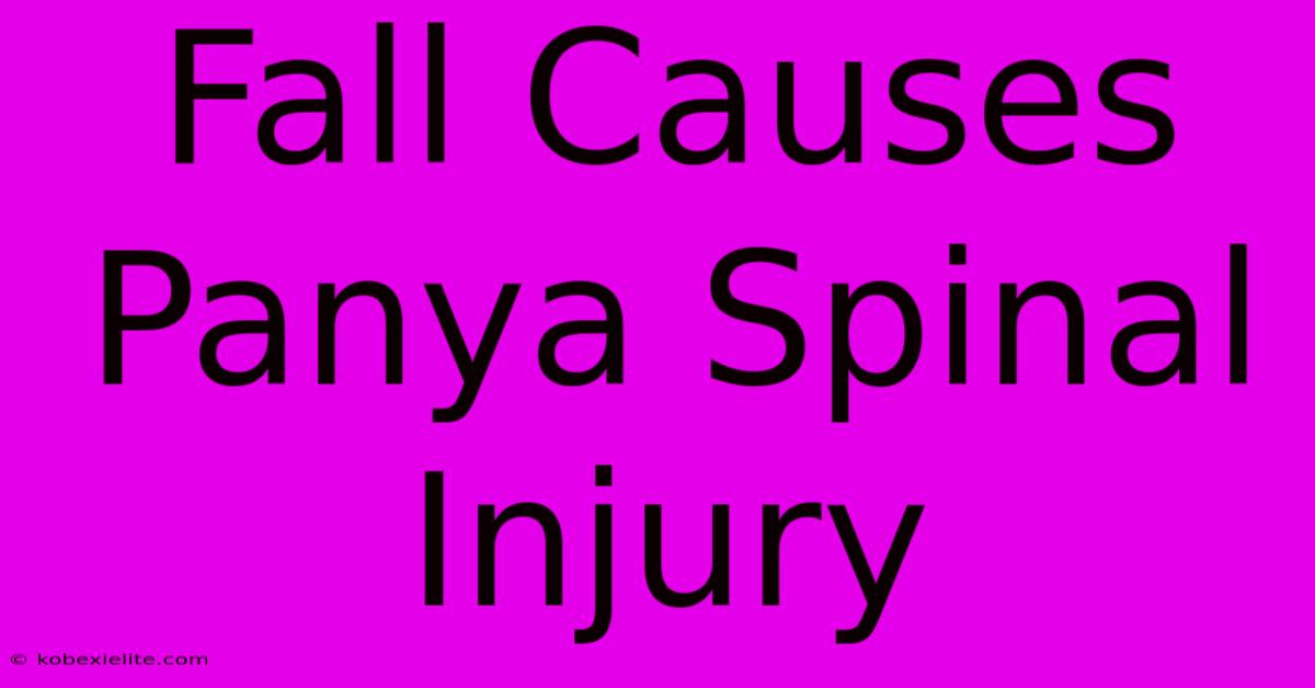 Fall Causes Panya Spinal Injury