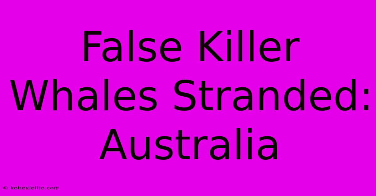 False Killer Whales Stranded: Australia