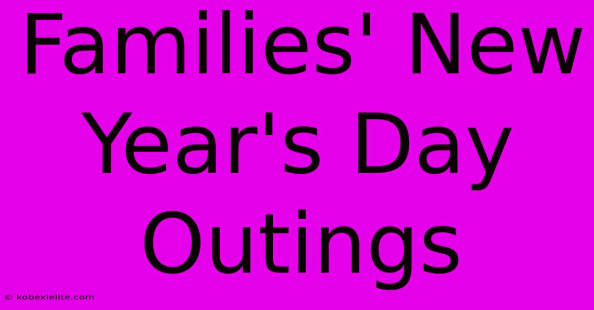 Families' New Year's Day Outings