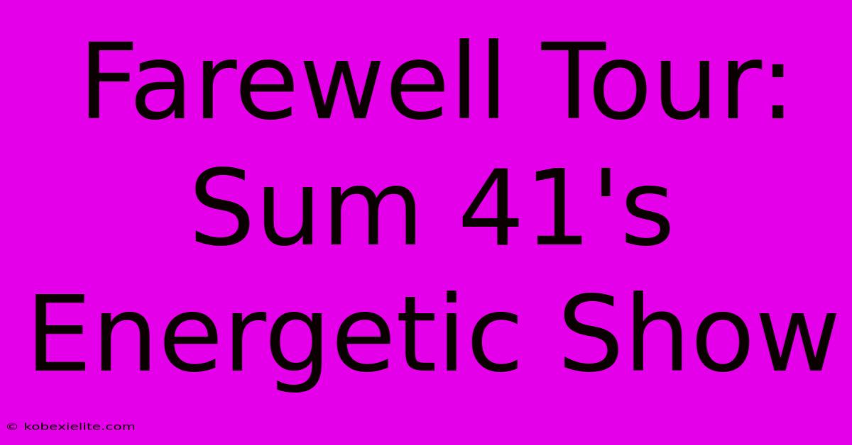 Farewell Tour: Sum 41's Energetic Show