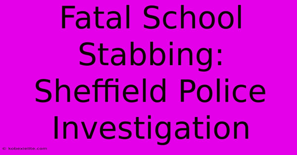 Fatal School Stabbing: Sheffield Police Investigation