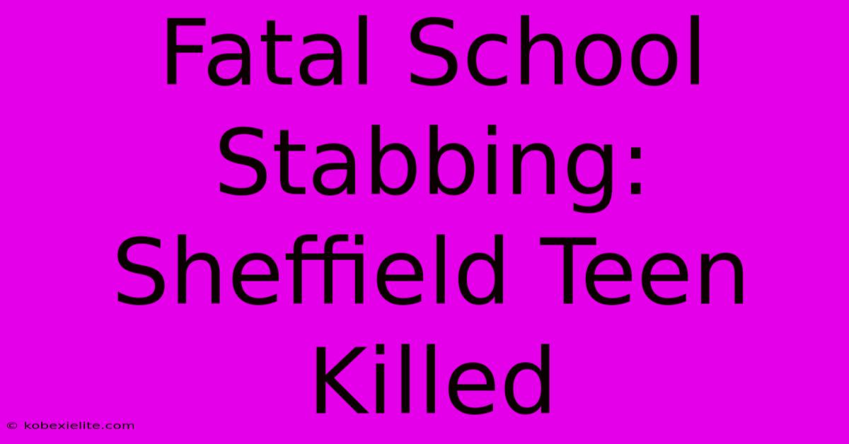 Fatal School Stabbing: Sheffield Teen Killed