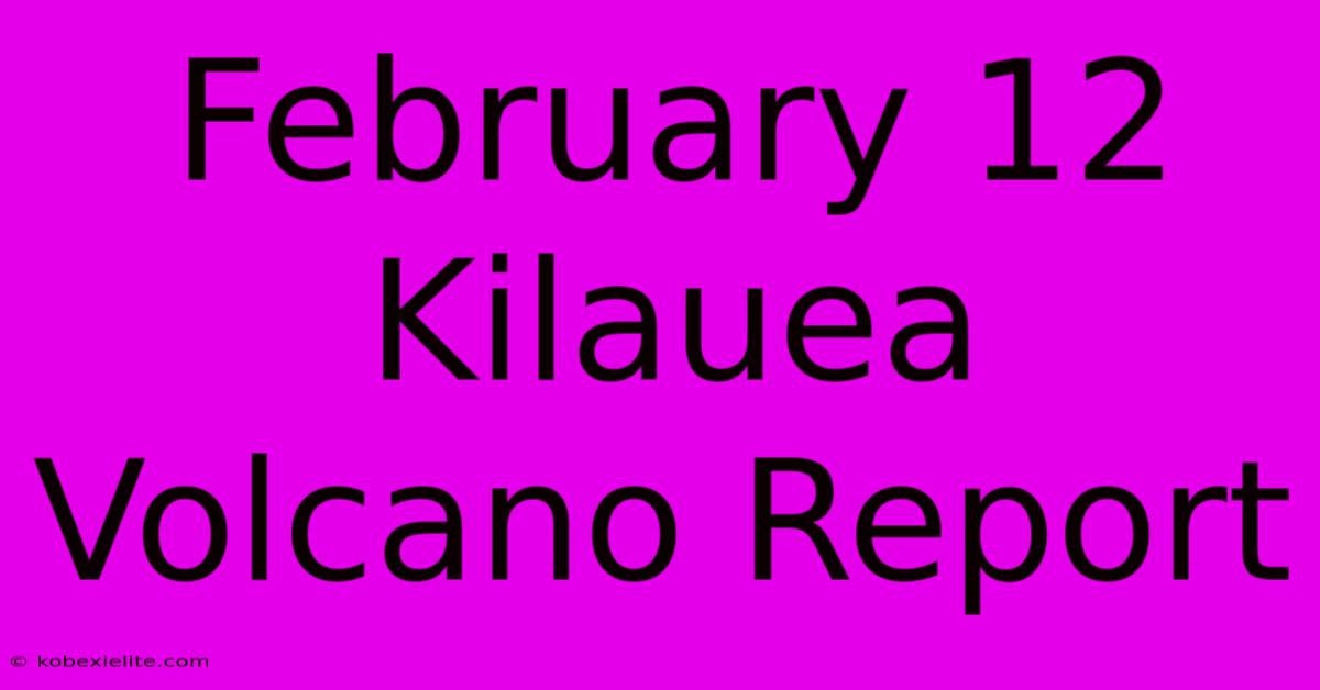 February 12 Kilauea Volcano Report