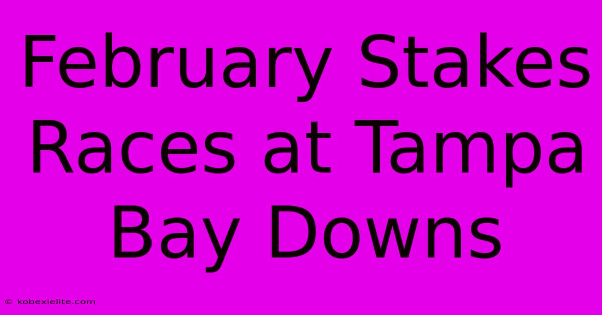 February Stakes Races At Tampa Bay Downs