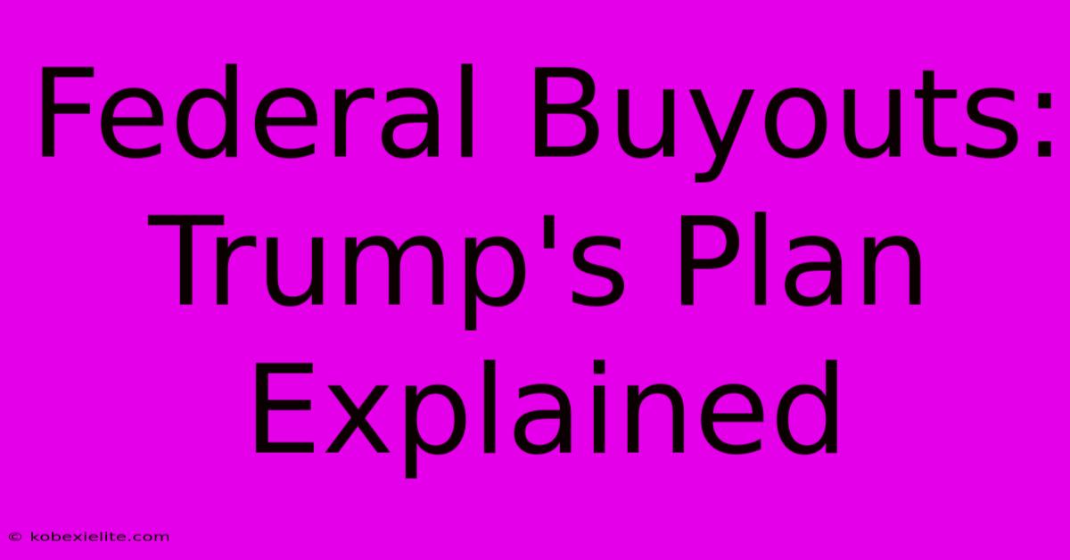 Federal Buyouts: Trump's Plan Explained