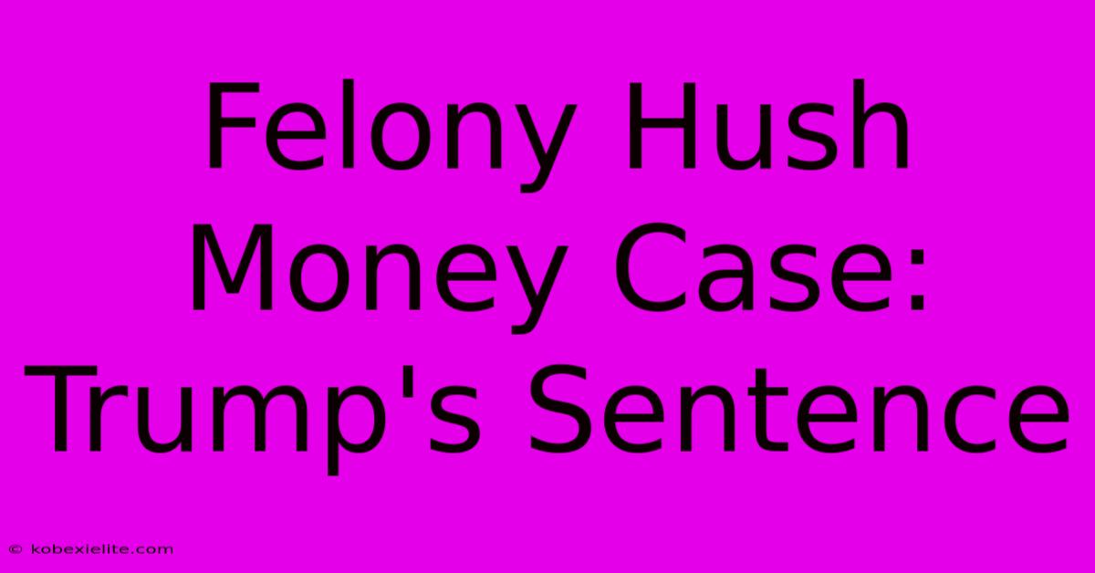 Felony Hush Money Case: Trump's Sentence