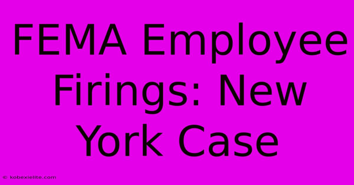 FEMA Employee Firings: New York Case