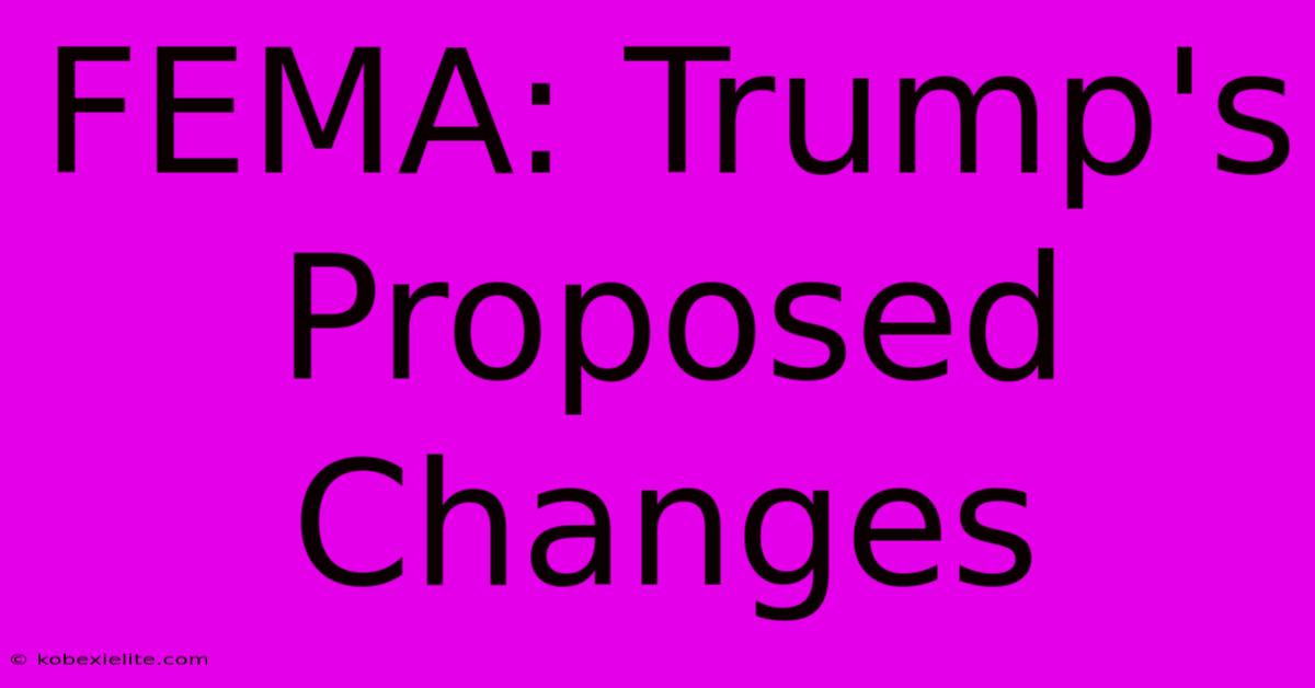 FEMA: Trump's Proposed Changes