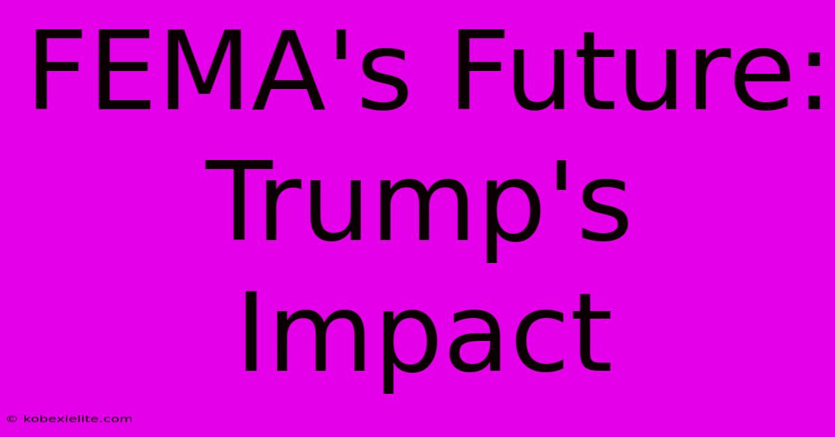 FEMA's Future: Trump's Impact