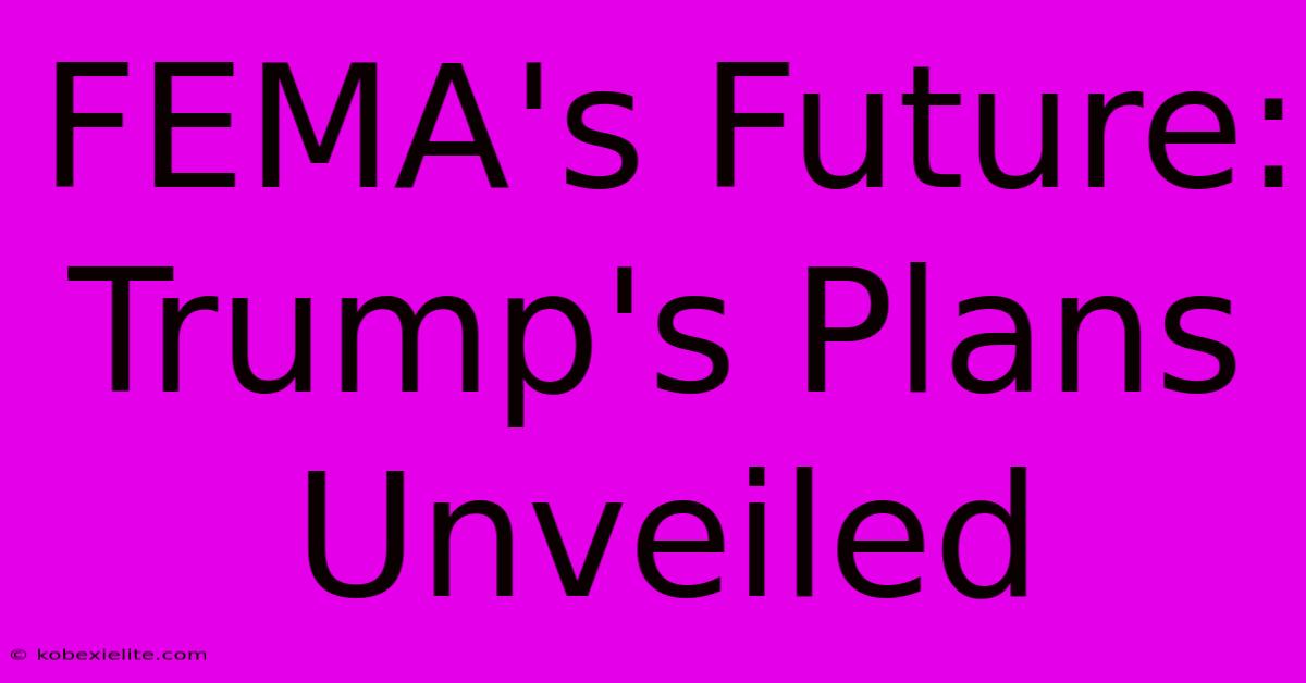 FEMA's Future: Trump's Plans Unveiled