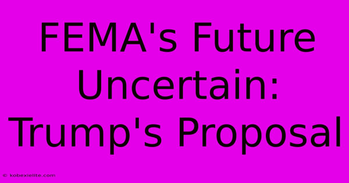 FEMA's Future Uncertain: Trump's Proposal