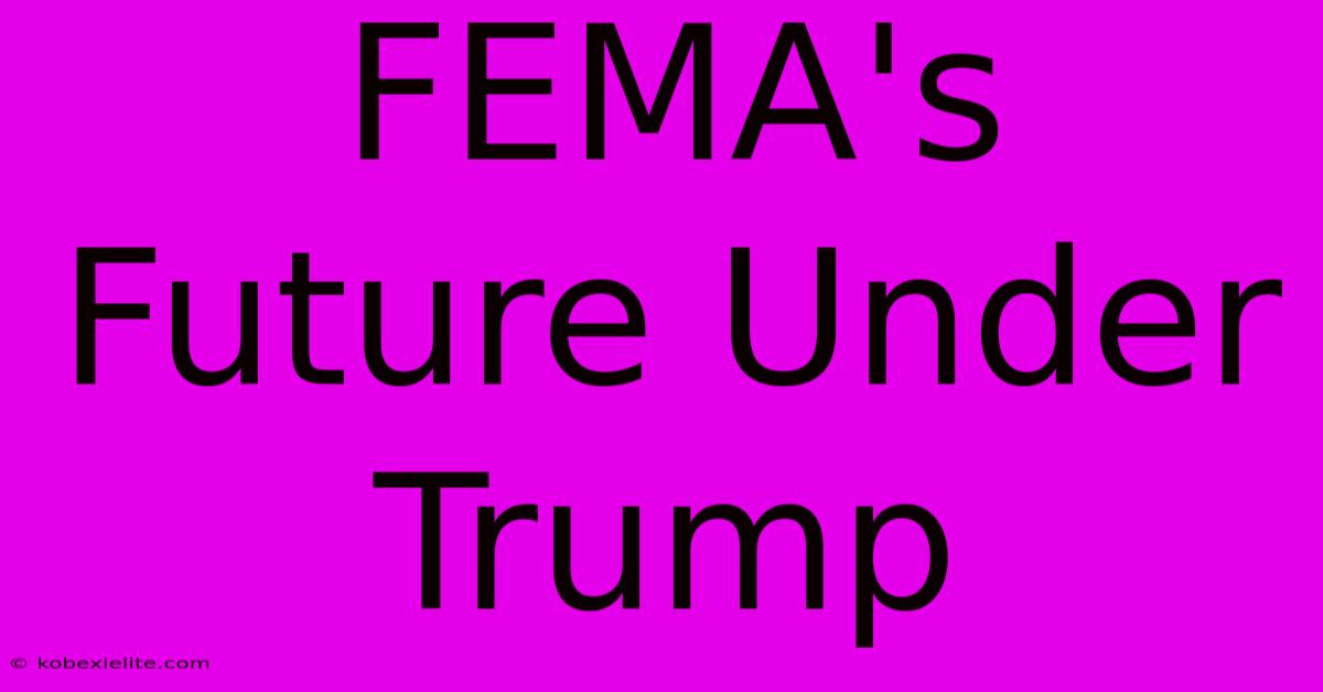 FEMA's Future Under Trump