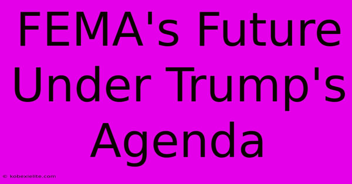 FEMA's Future Under Trump's Agenda