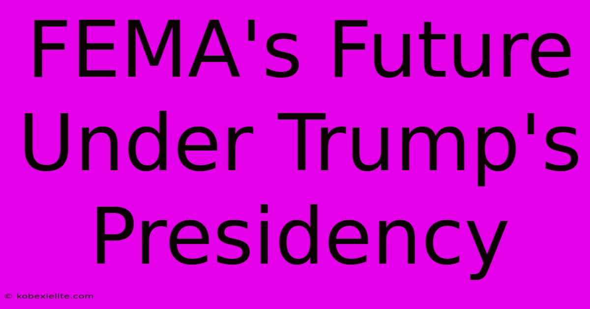 FEMA's Future Under Trump's Presidency