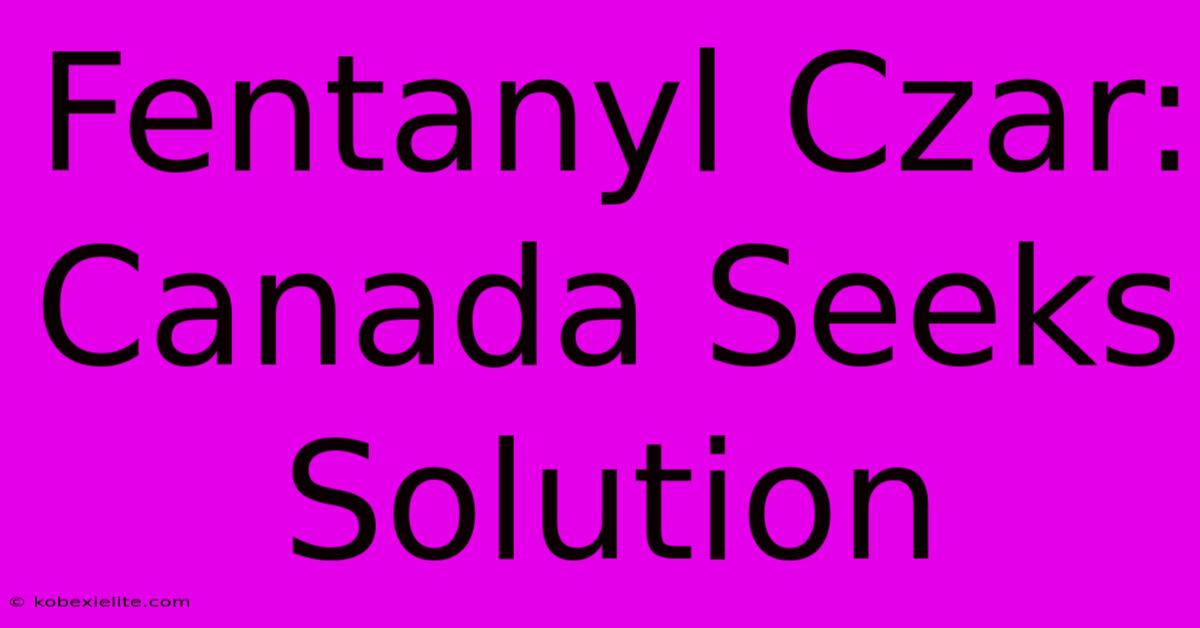 Fentanyl Czar: Canada Seeks Solution