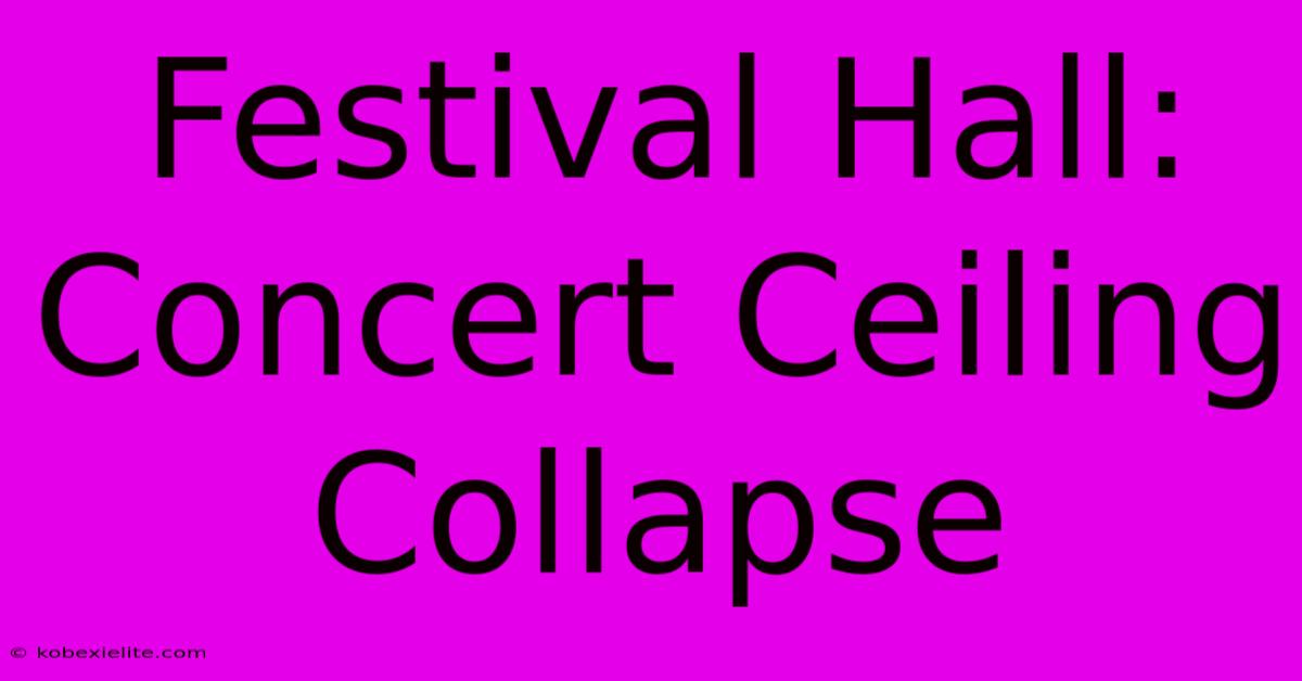 Festival Hall: Concert Ceiling Collapse