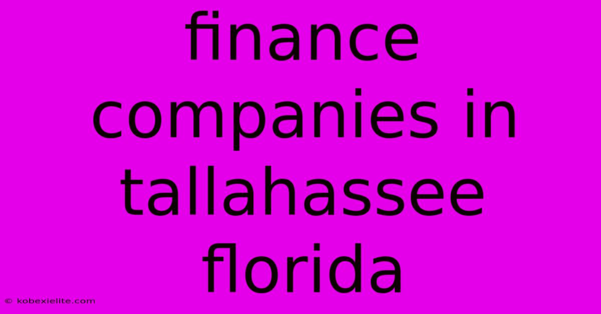 Finance Companies In Tallahassee Florida Finance Companies In Tallahassee Florida