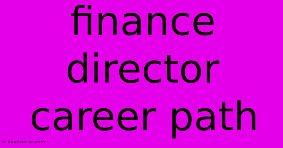 Finance Director Career Path Finance Director Career Path