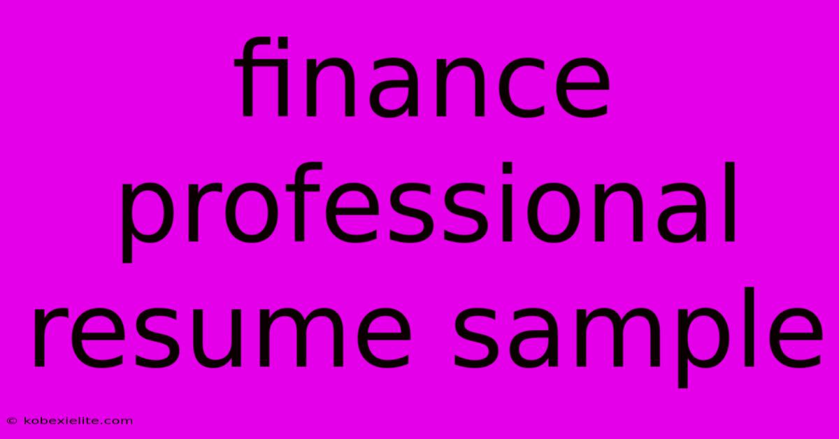 Finance Professional Resume Sample Finance Professional Resume Sample