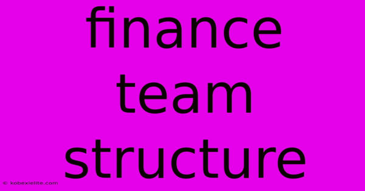 Finance Team Structure