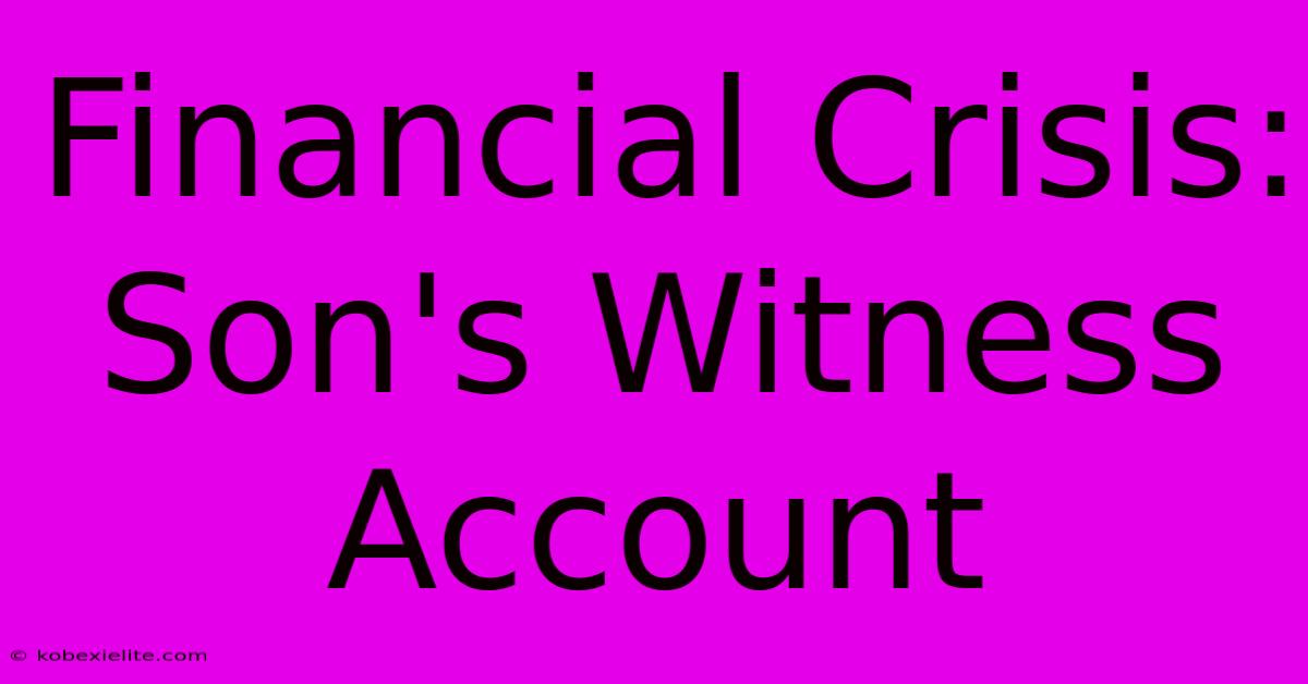 Financial Crisis: Son's Witness Account