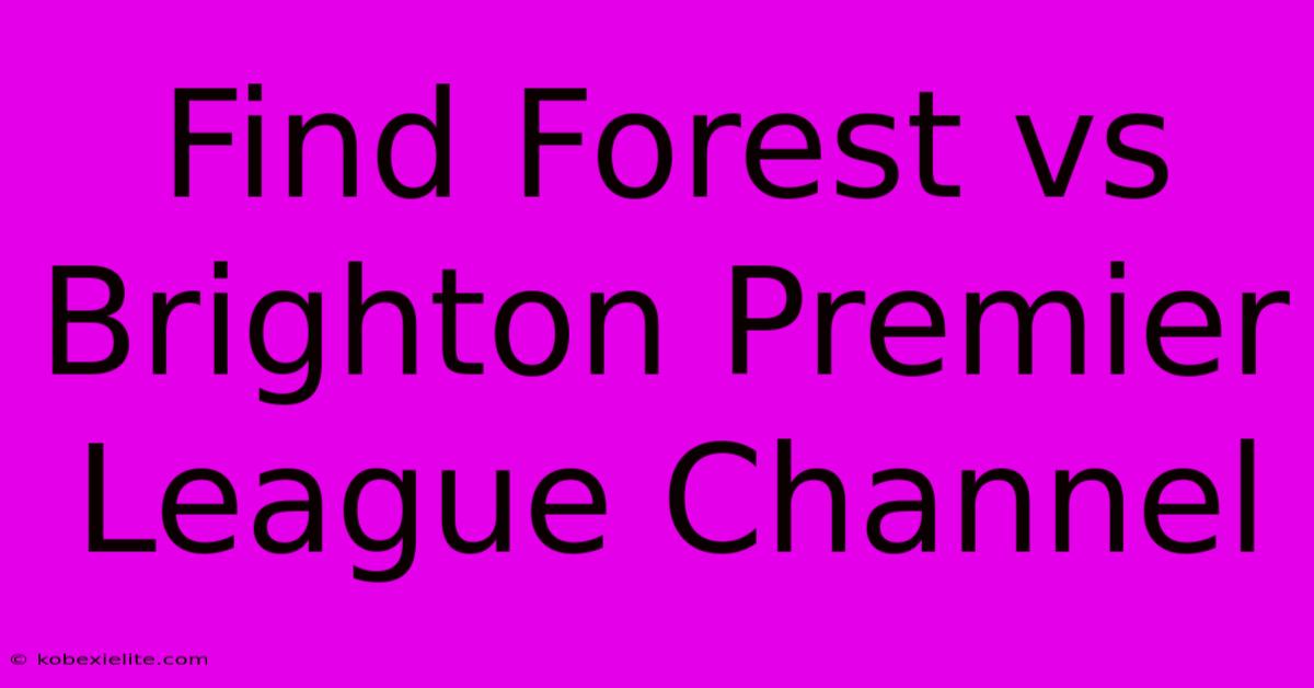 Find Forest Vs Brighton Premier League Channel