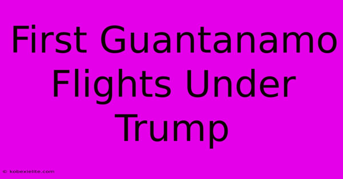 First Guantanamo Flights Under Trump