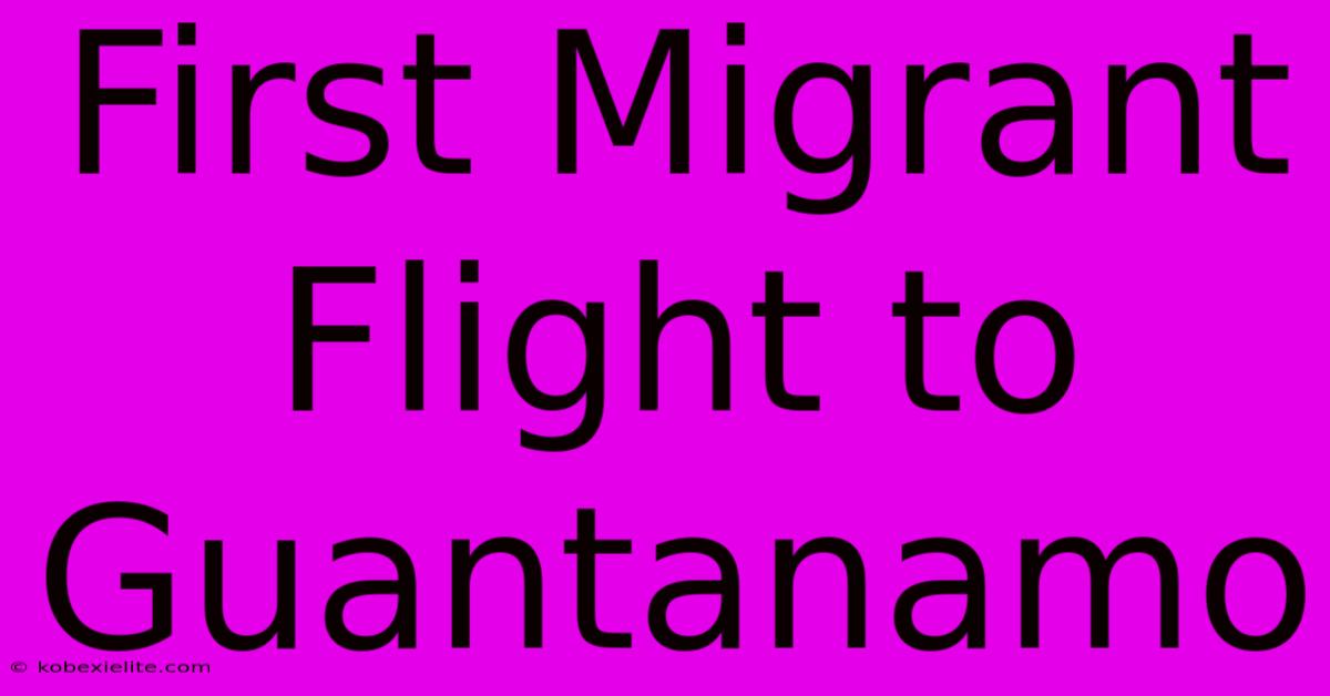 First Migrant Flight To Guantanamo