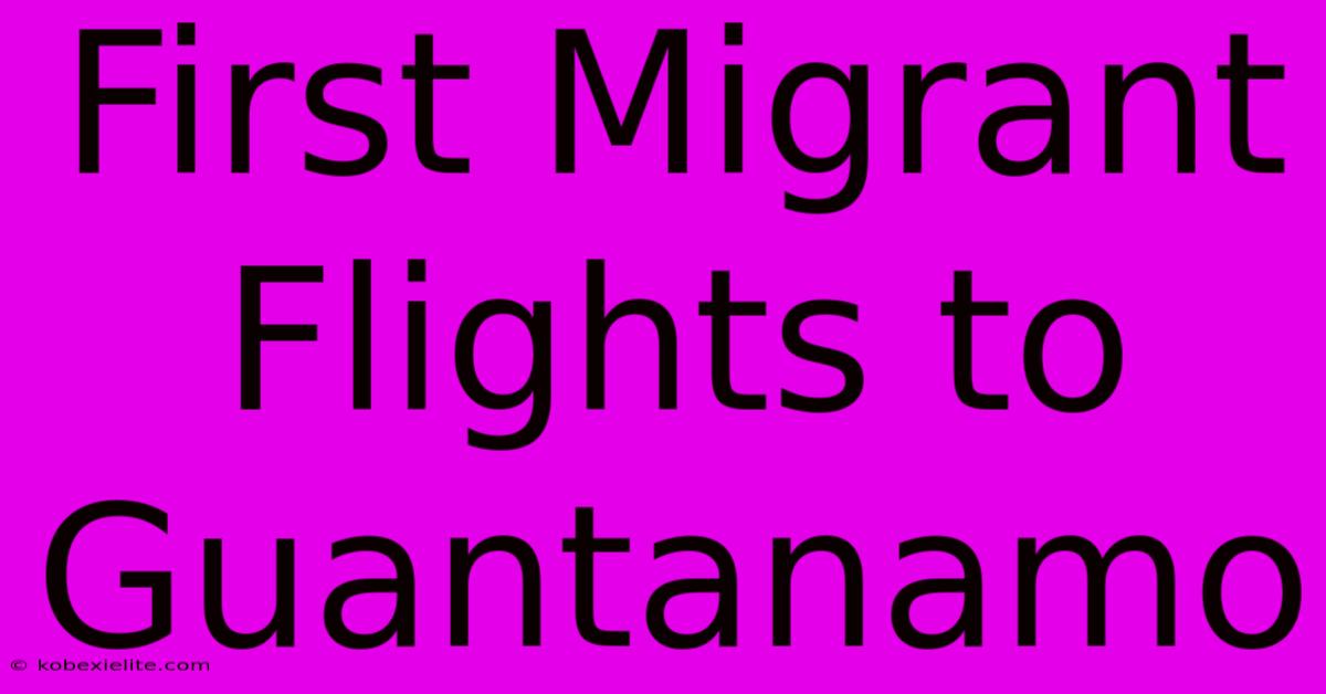 First Migrant Flights To Guantanamo