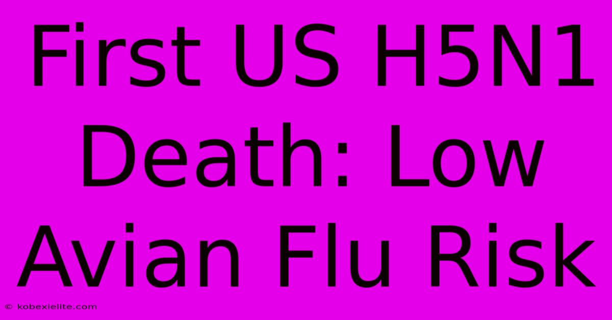 First US H5N1 Death: Low Avian Flu Risk