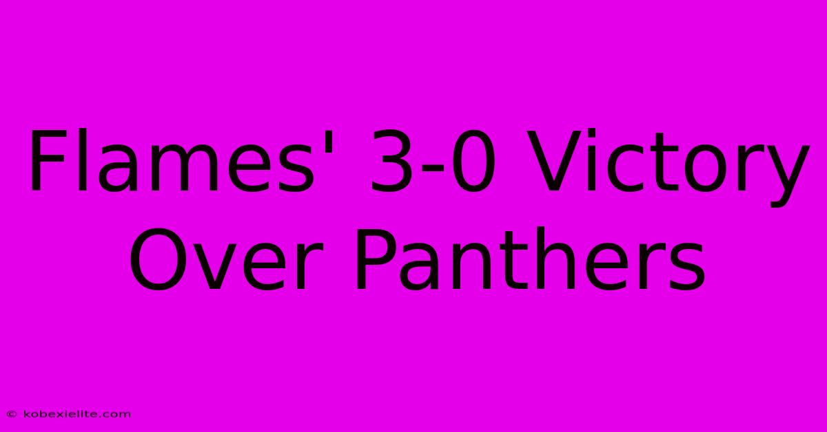 Flames' 3-0 Victory Over Panthers Flames' 3-0 Victory Over Panthers
