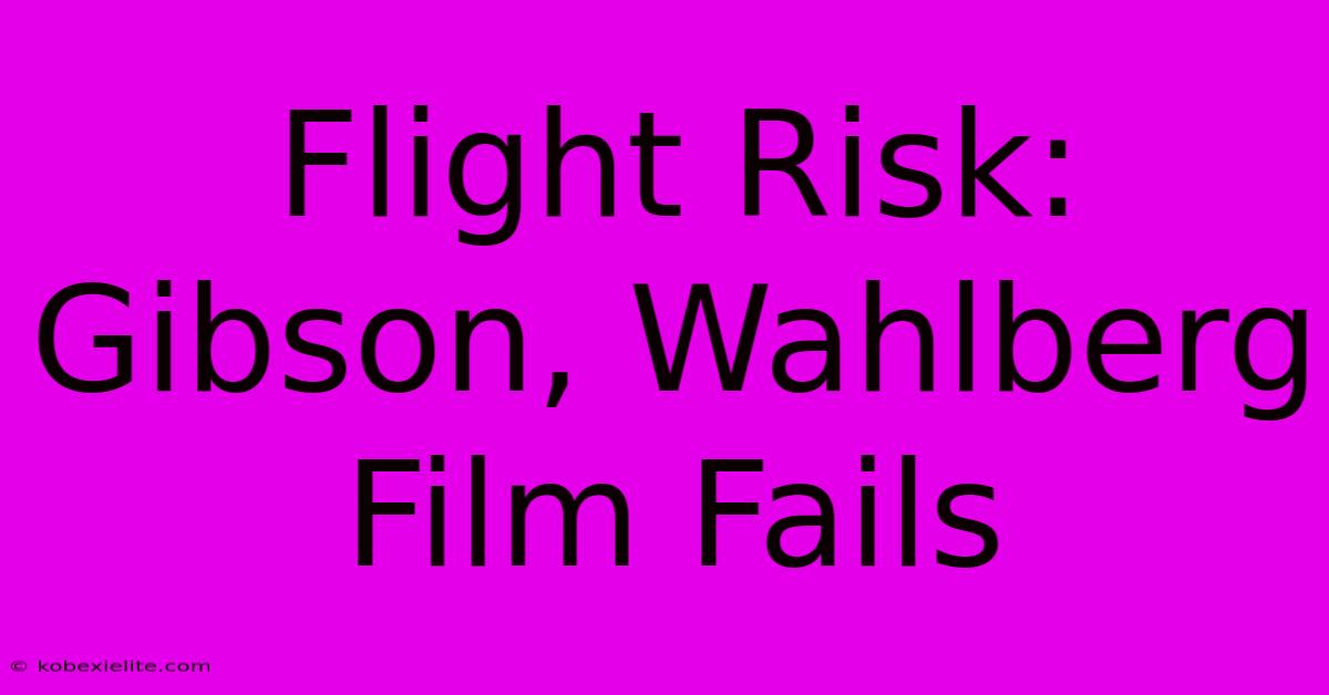 Flight Risk: Gibson, Wahlberg Film Fails