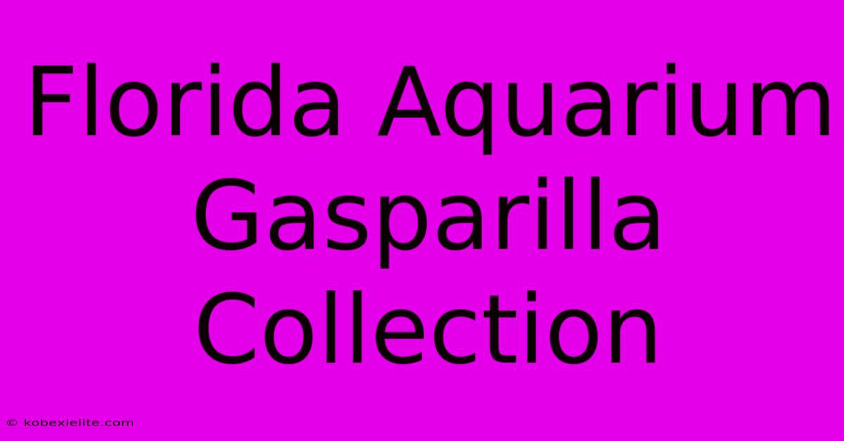 Florida Aquarium Gasparilla Collection