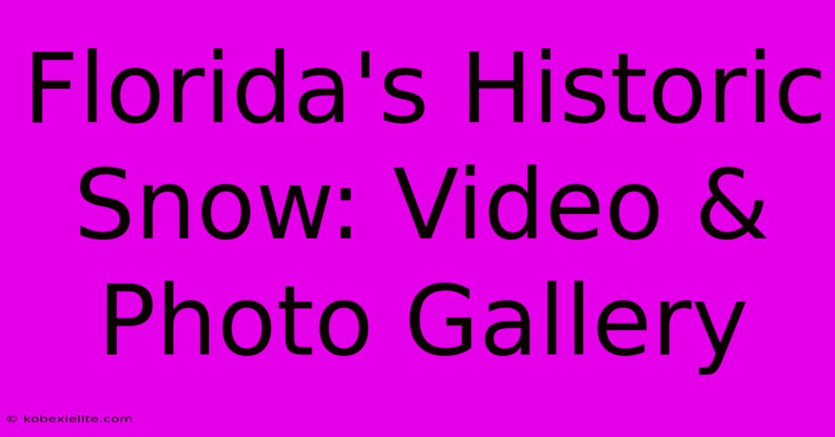 Florida's Historic Snow: Video & Photo Gallery